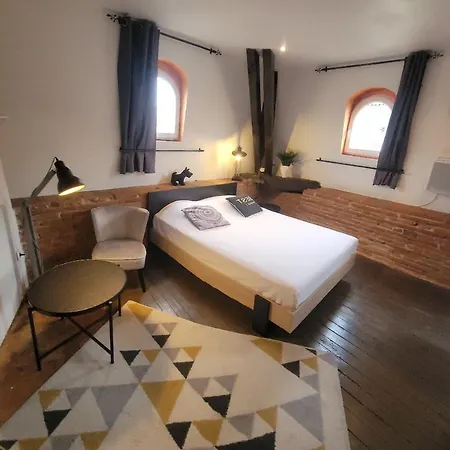 Studio Typique Toulousain Capitole * Toulouse