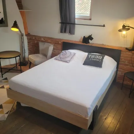 Apartment Studio Typique Toulousain Capitole *