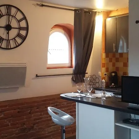 Apartment Studio Typique Toulousain Capitole *